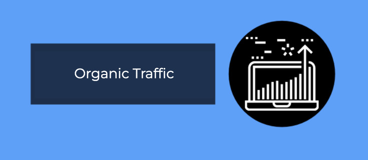 Organic traffic as an example of an SEO report KPI